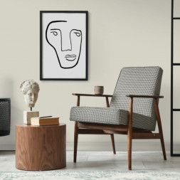 Краска Lanors Mons «Ivory» (Слоновая кость), 21